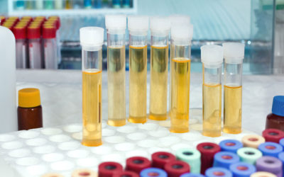What urine can tell about the metabolome