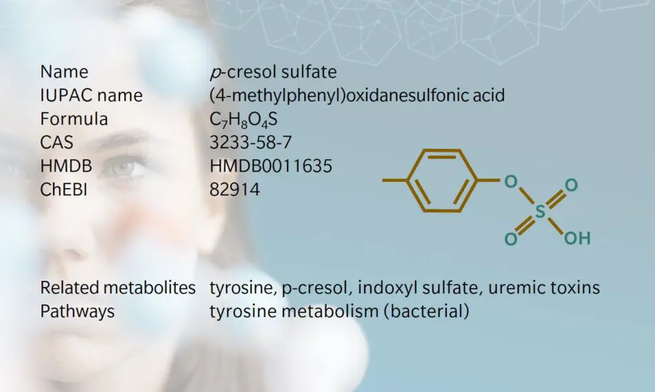 Metabolite Of The Month P Cresol Sulfate Biocrates Life Sciences Ag