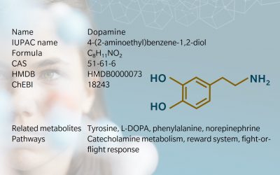 Metabolite of the month – Dopamine