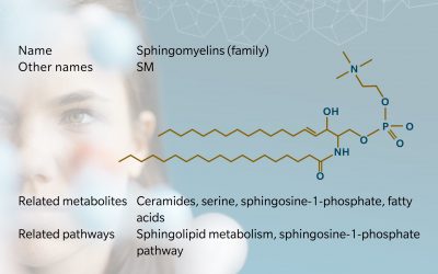 Metabolite of the month – Sphingomyelins