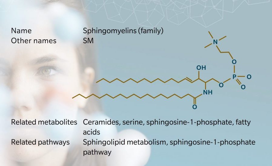 Sphingomyelins - SM