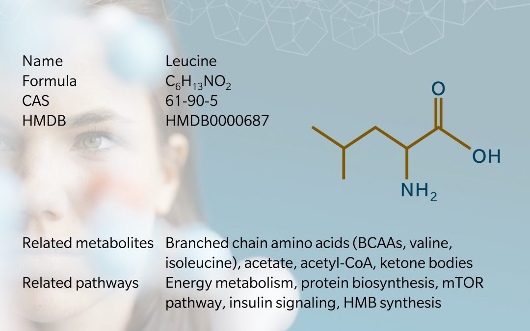 leucine chart