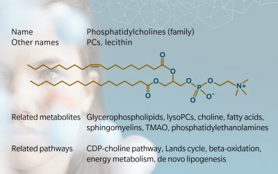 Metabolite of the month – Phosphatidylcholines