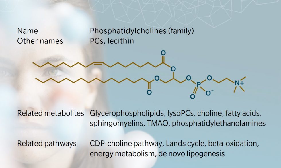 Metabolite of the month Phosphatidylcholines biocrates life sciences ag