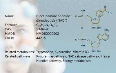 Metabolite of the month – NAD+ (nicotinamide adenine dinucleotide)