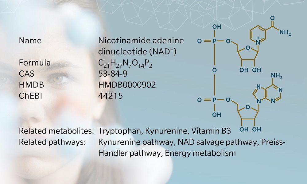 NAD+ (nicotinamide adenine dinucleotide)