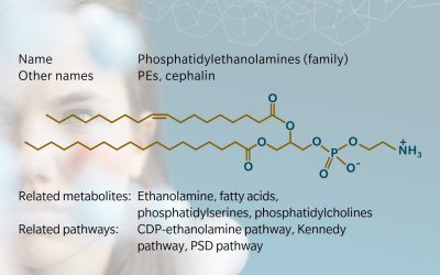 Metabolite of the month – Phosphatidylethanolamines