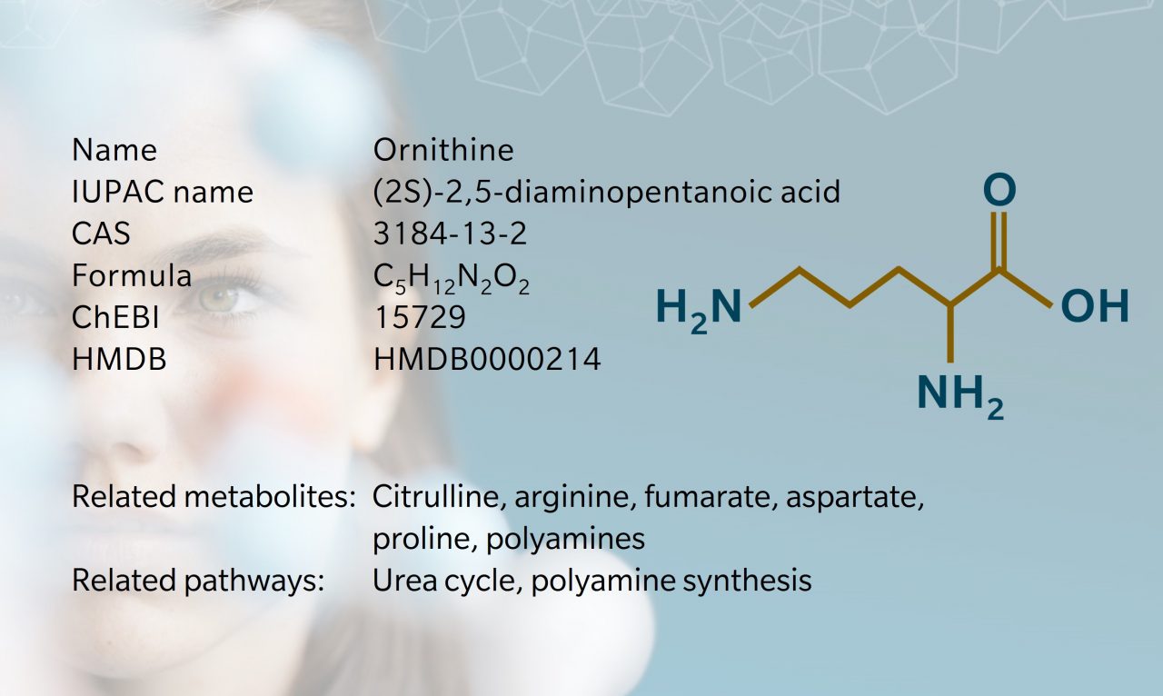 Metabolite of the month Ornithine biocrates life sciences ag