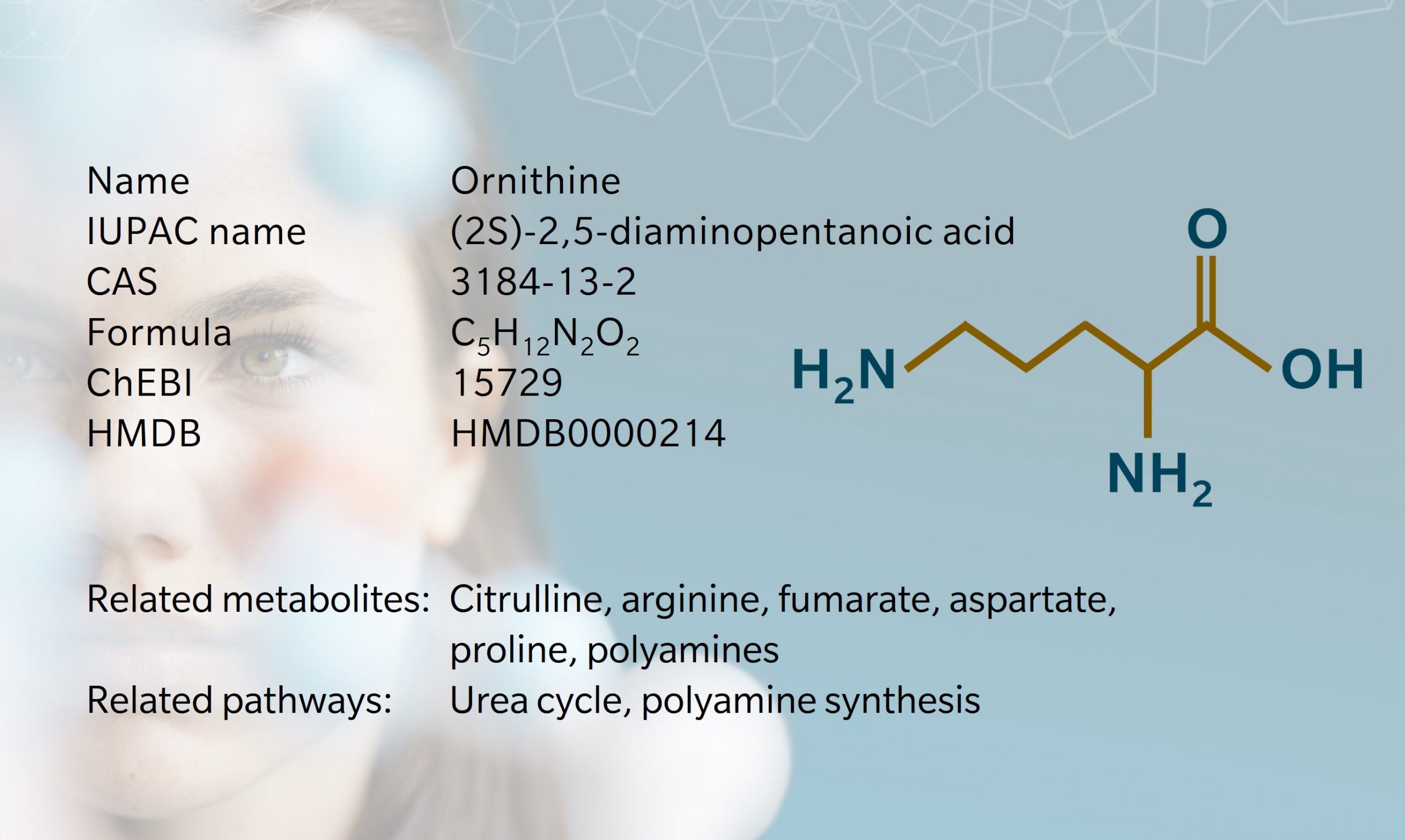 Ornithine – Metabolite of the month