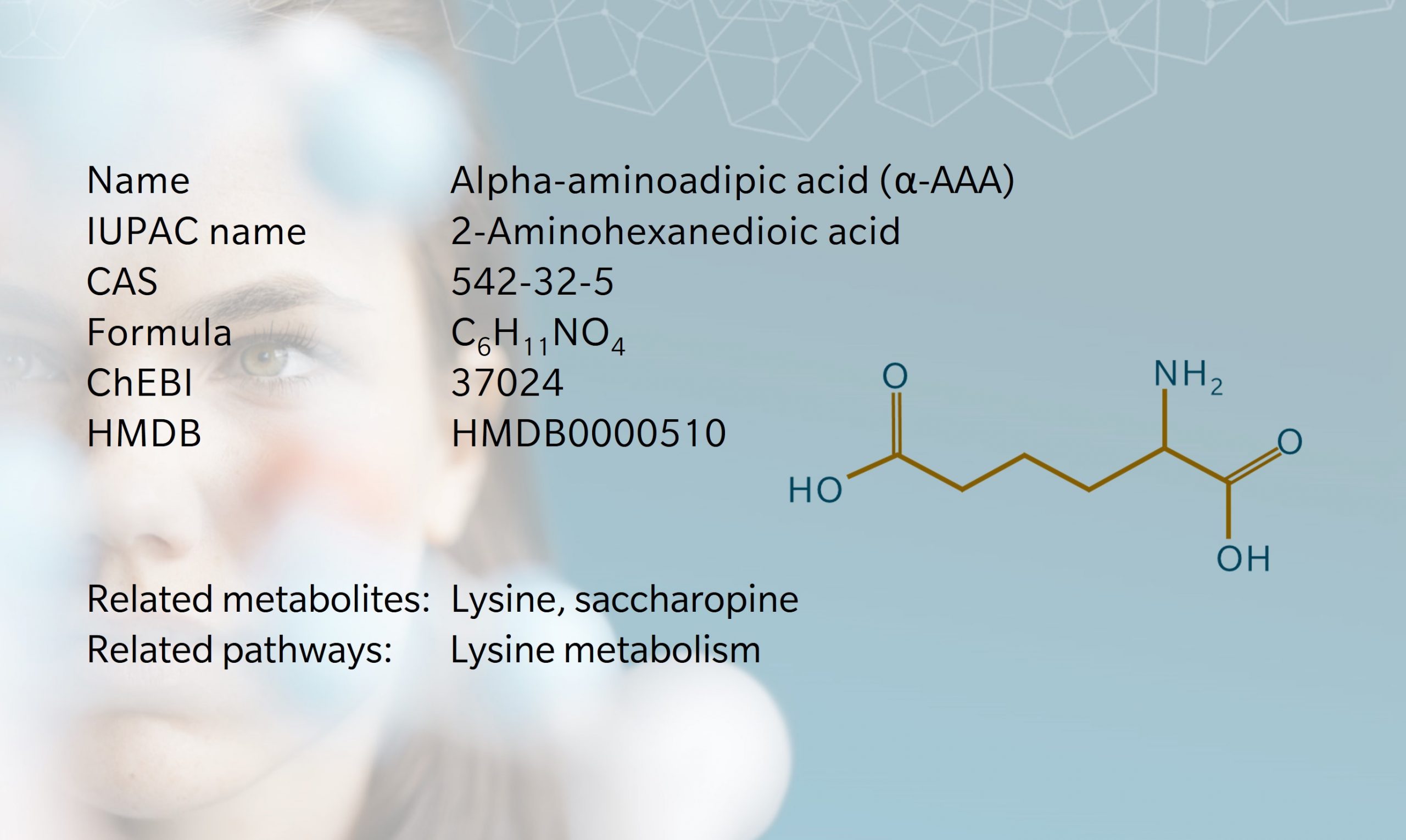 Alpha-aminoadipic acid – Metabolite of the month