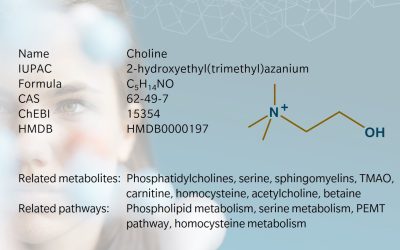 Choline – Metabolite of the month