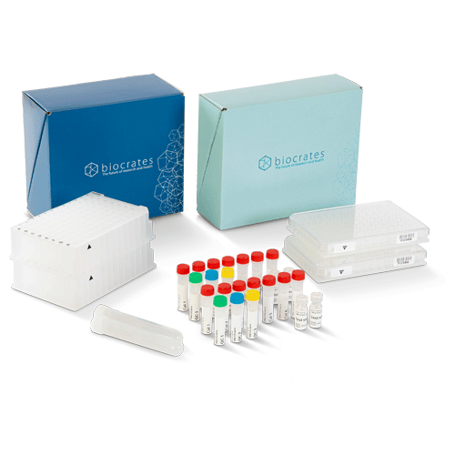 Quantitative metabolomics kit for analysis of more than 1400 biomarkers with all components, plates, standards