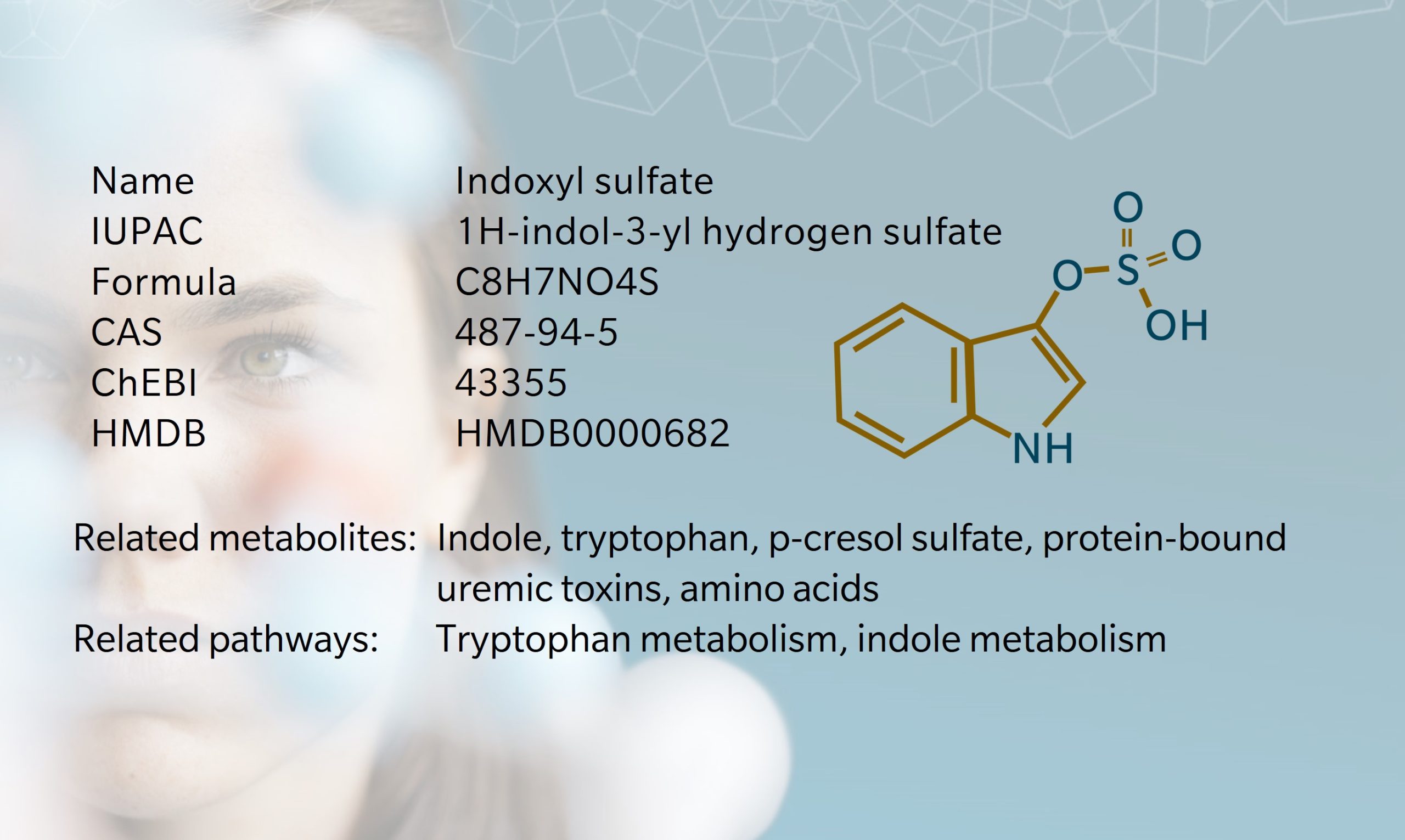 Indoxyl sulfate – Metabolite of the month