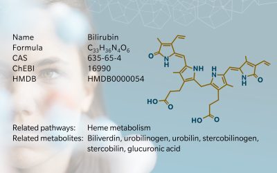Bilirubin – from waste pigment to regulatory metabolite