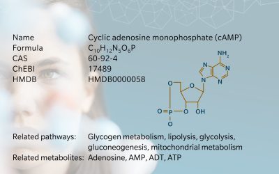 cAMP – a currency of cell signaling