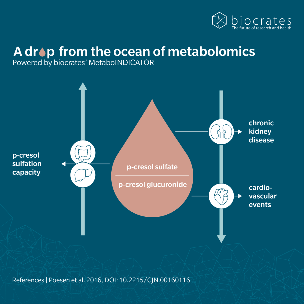 drop_p-cresol-glucuronide
