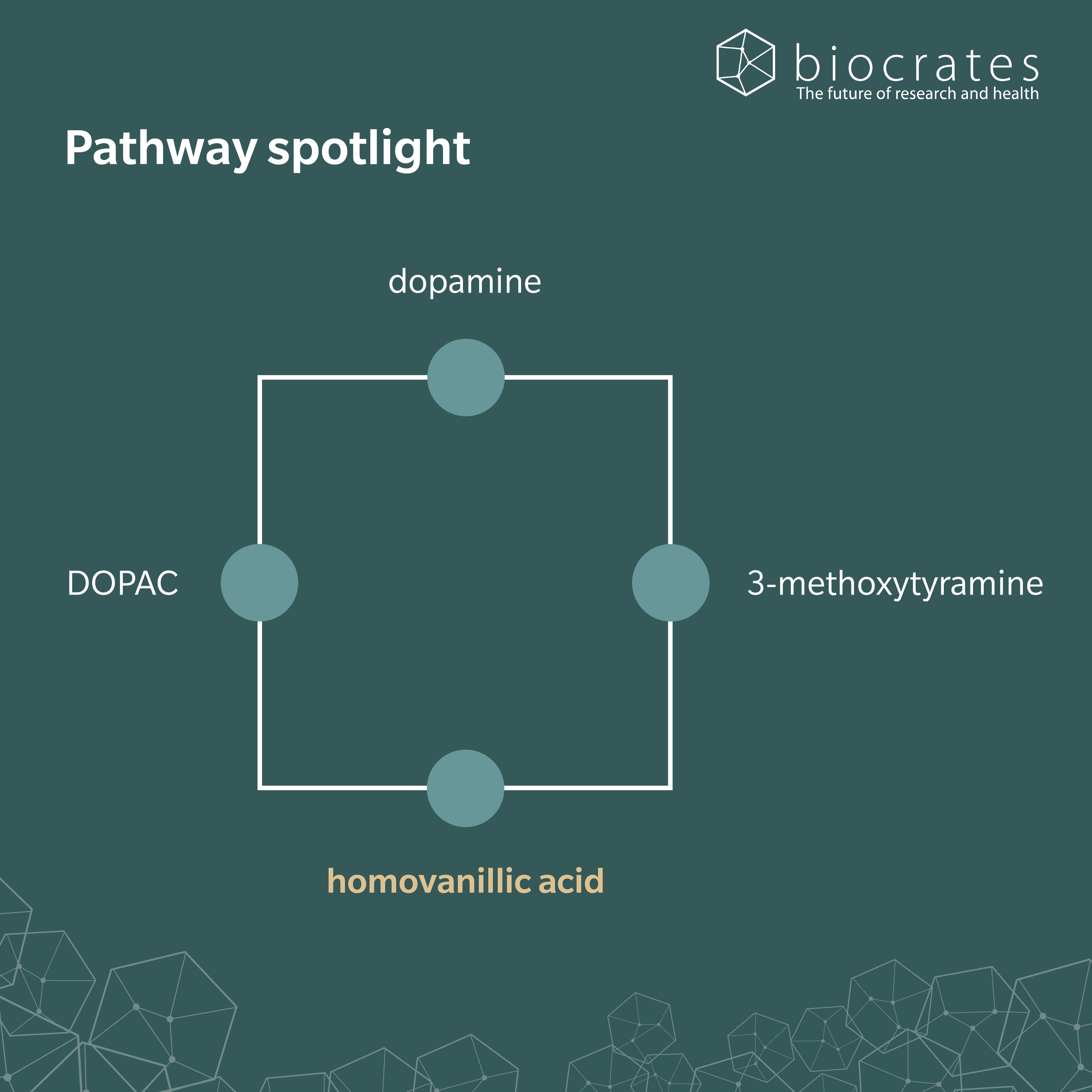 homovanillic-acid_pathway