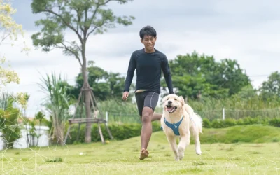 Exposomics and Metabolomics | The dynamic duo of the post-genomic era